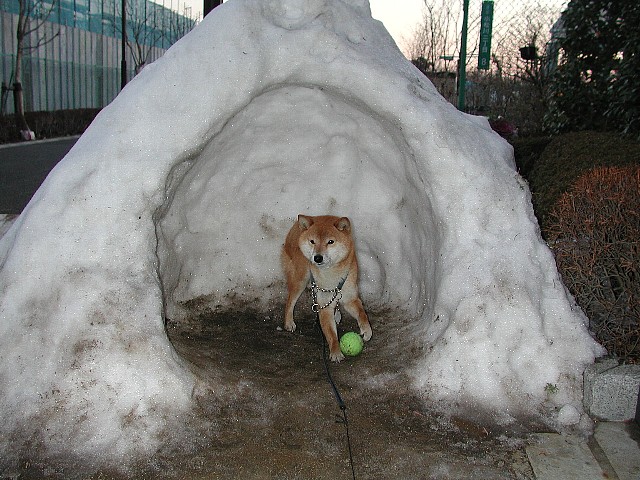 ���܂���