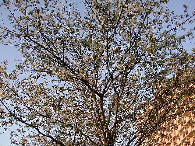 �������ԍ�