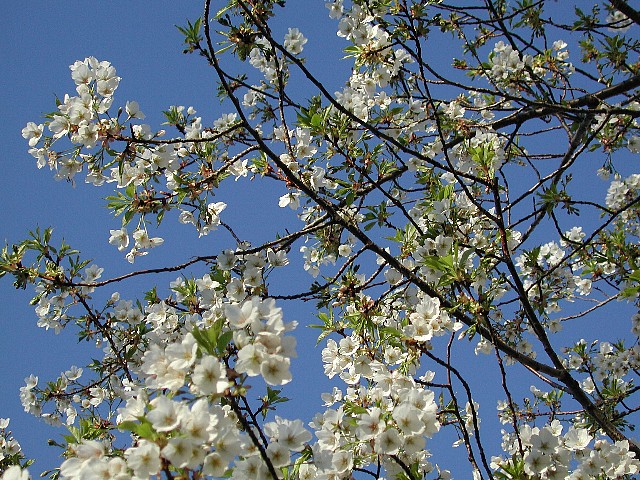 �������ԍ�