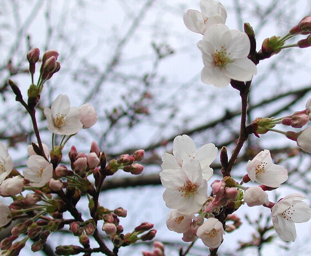 �\���C���V�m