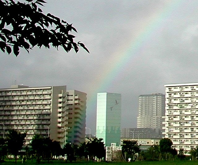 ���̍���