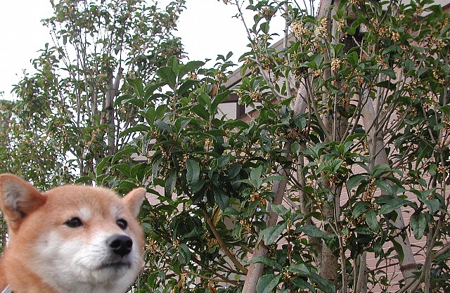 �Q�x�炫���؍�