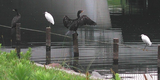 �������A������