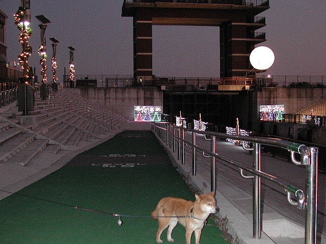 �r�샍�b�N�Q�[�g