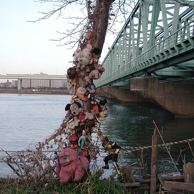 ���̎��Ȃ�̎��H