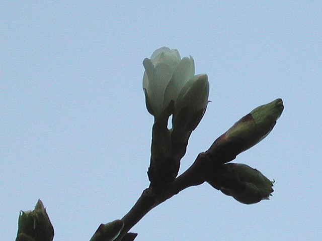 �������ԍ�