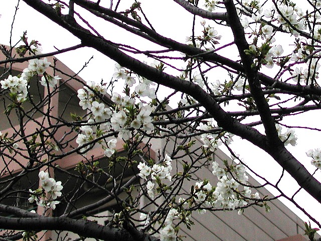 ����Ɉ�ԍ�