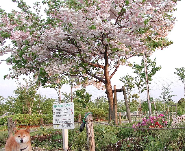 �t�B�i�[��