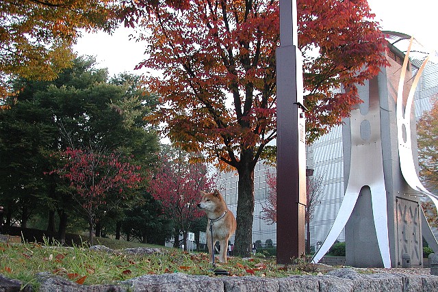 �T�˒�������