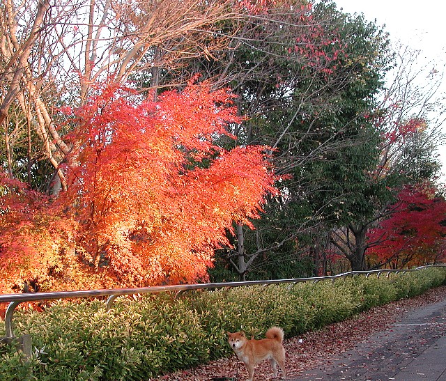 �����̍g�t