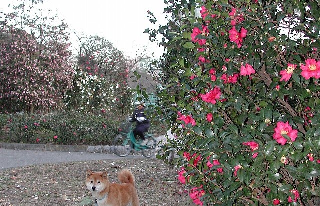 �T�˒�������