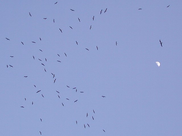 ���@�㏸�C��