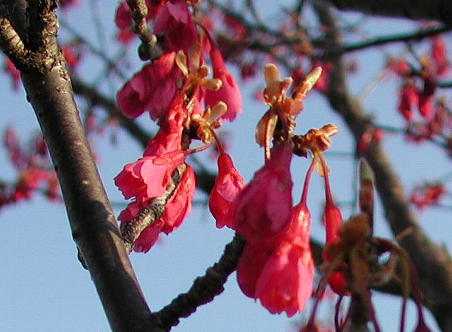 �J���q��