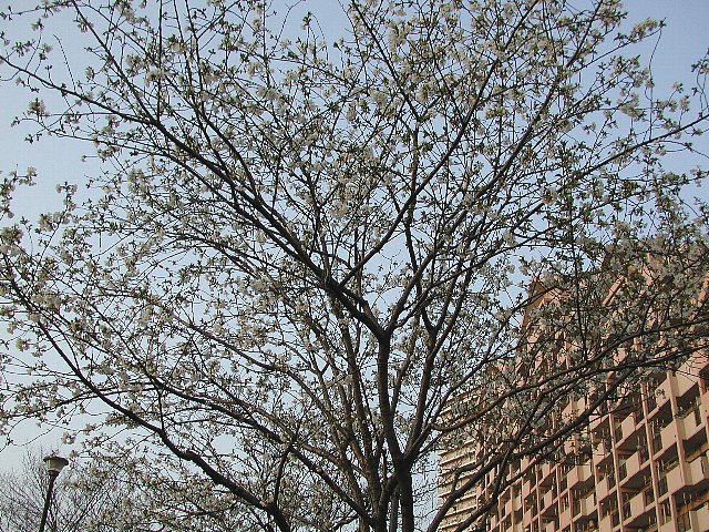 �J���U�L�I�I�V�}