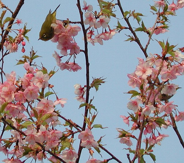 �͒Í��ƃ��W��