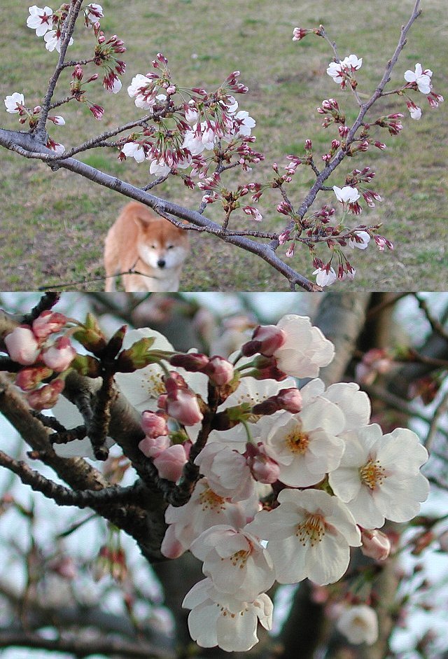 �\���C���V�m