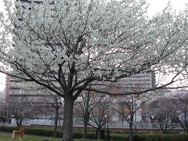 �I�I�V�}��