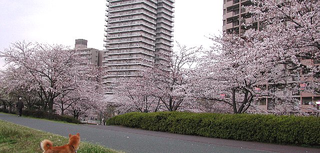 �������{��