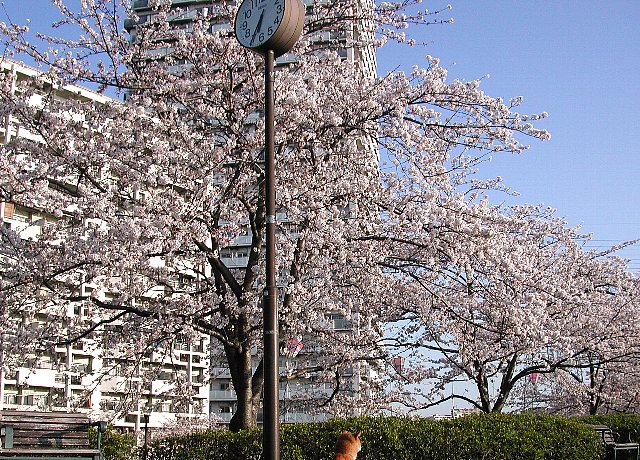 �������{��