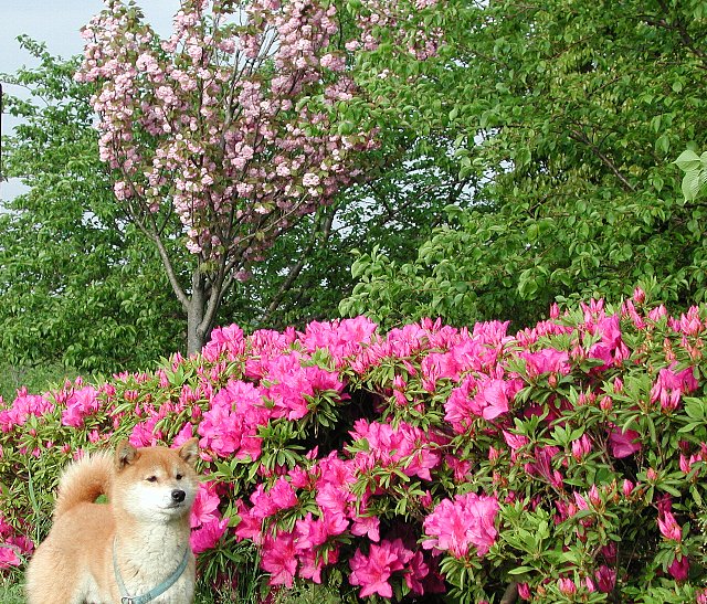 �����U�P