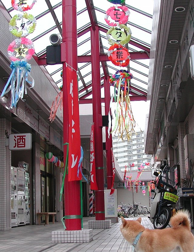 �~�j���X�X