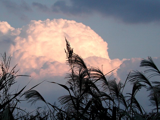 �������_