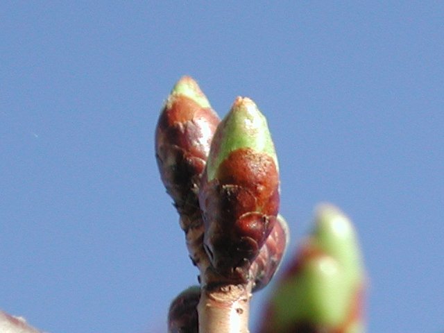 �G�h�q�K�����Q