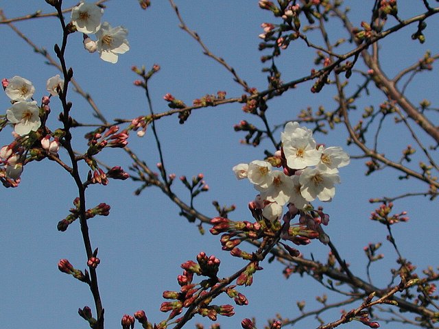 �\���C���V�m