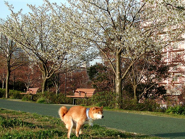 �I�I�V�}�T�N��