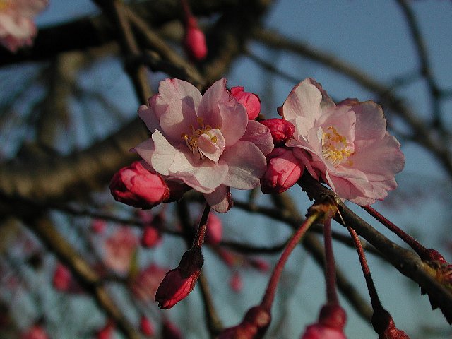 �V�_���U�N��