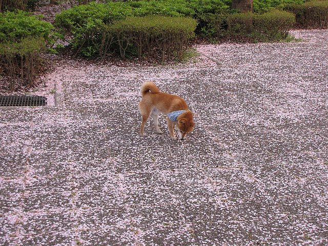 �����O�~