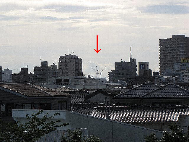 �X�J�C�c���[