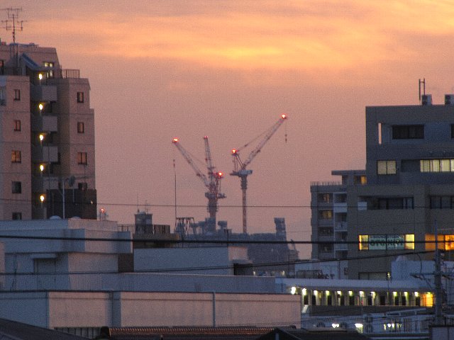 �X�J�C�c���[