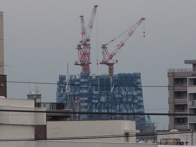 �X�J�C�c���[