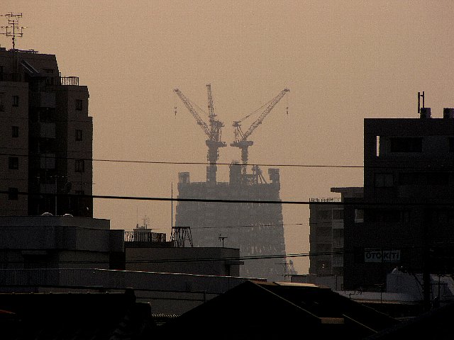 �X�J�C�c���[