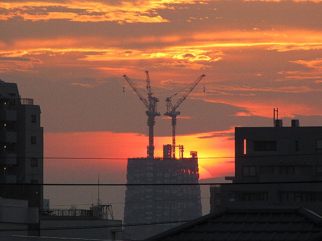 �X�J�C�c���[�ɒ��ޗ[��