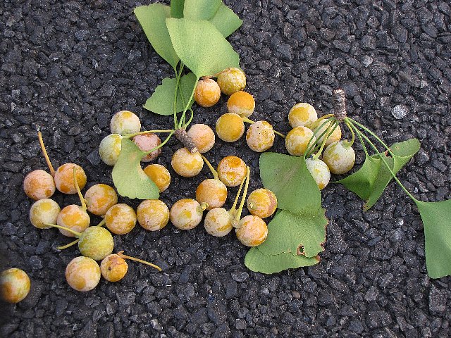 �M���i��