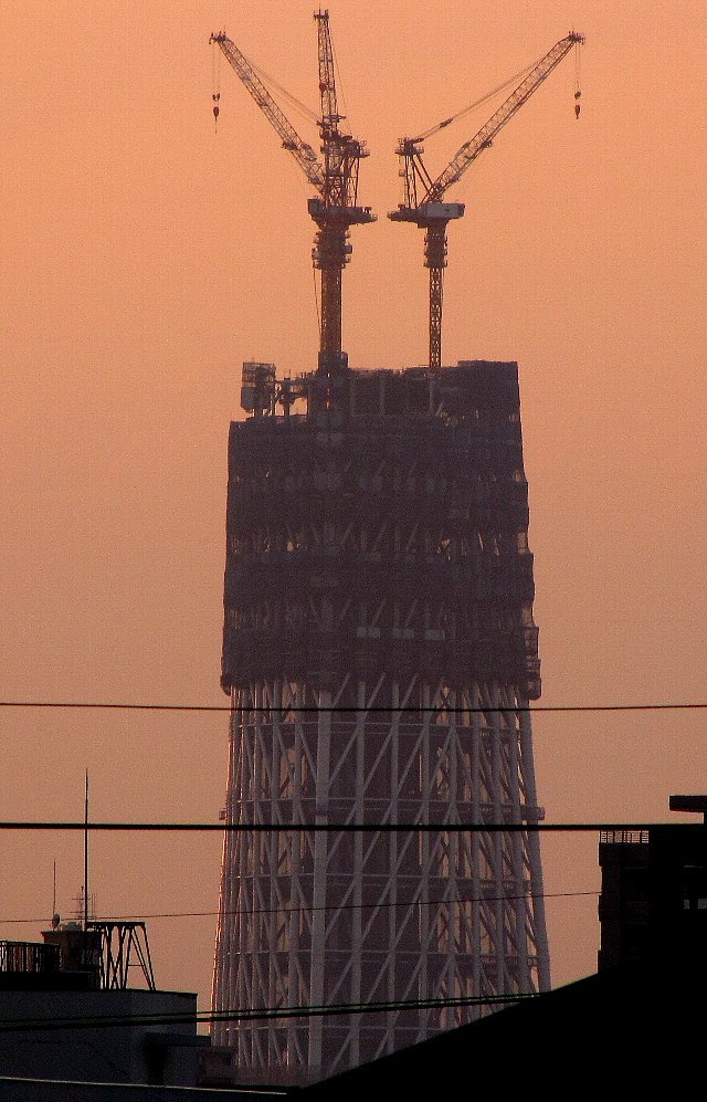 �[�z�̃X�J�C�c���[