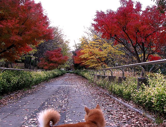 �g�t����