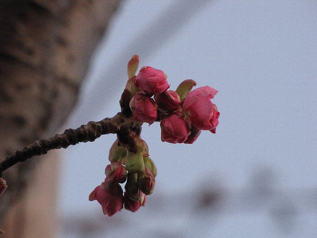 ���������t