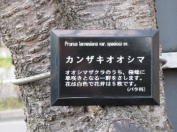 ����I�I�V�}