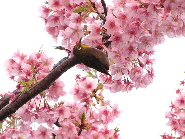 �͒Í��ƃ��W��