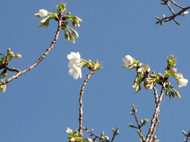 �I�I�V�}�J��