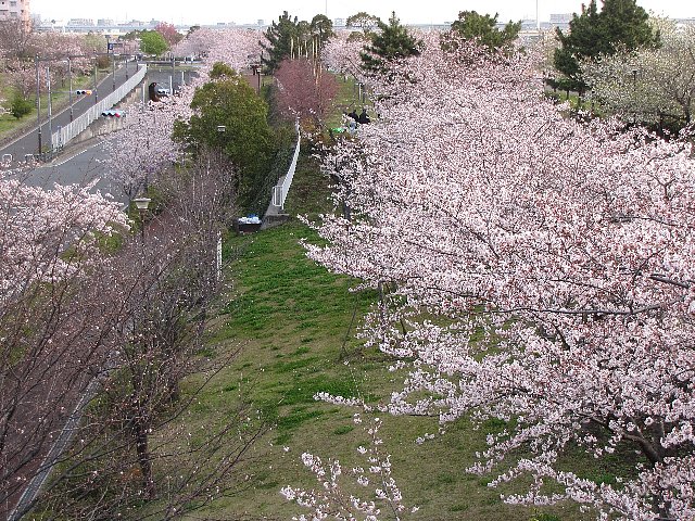 �������{��