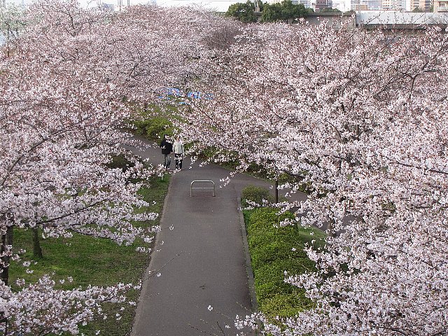 �������{��