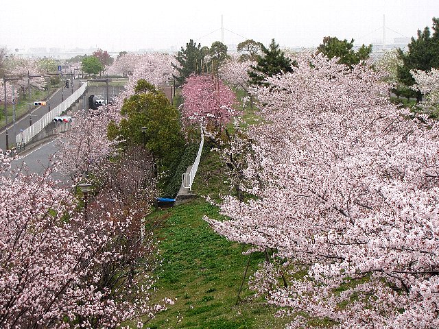 �������{��