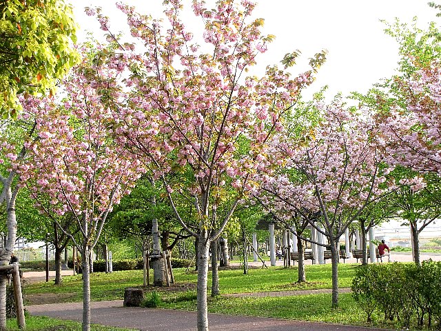 �܂��������Ԍ�