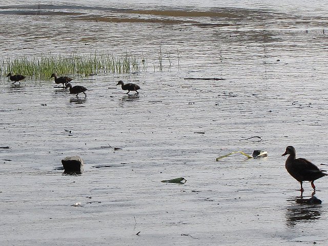 �J���K��