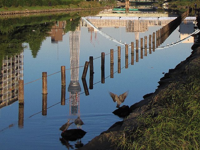 �����X�J�C�c���[