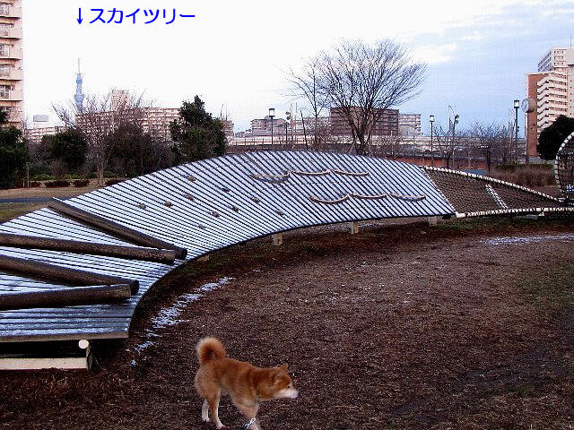 ��������ϐ�